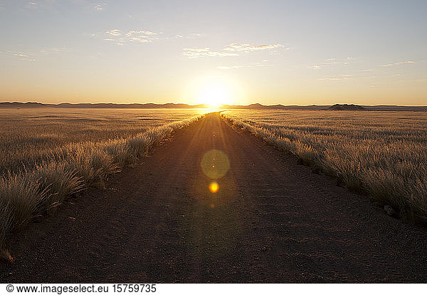 Empty road at sunset  Kulala Wilderness Reserve  Namib Desert  Namibia