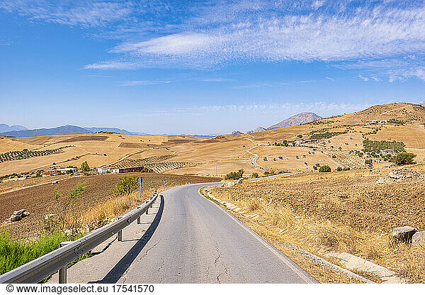 Empty road by field at countryside at La Joya  Andalucia  Spain  Europe
