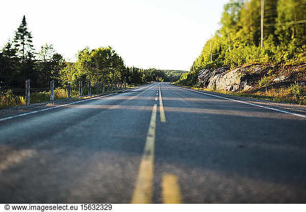 Empty road in Algonquin Provincial Park  Ontario  Canada