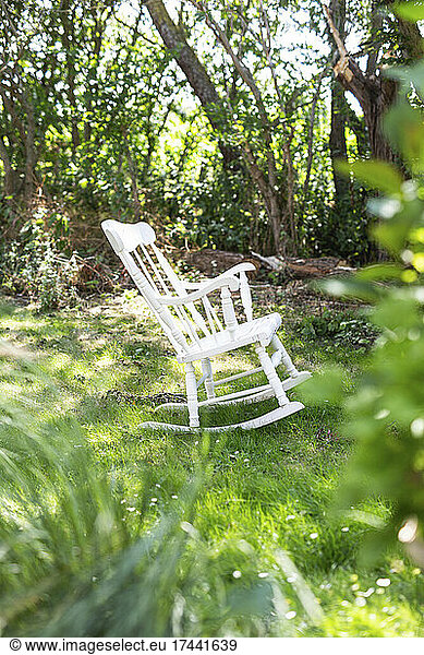 Empty rocking chair standing in summer backyard