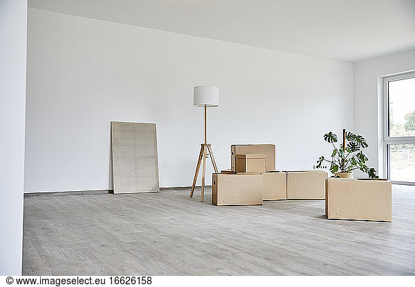 Empty room with many cardboard and potted plant
