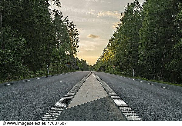 Empty treelined road at sunset