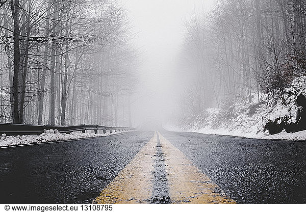 Empty wet country road amidst bare trees during foggy weather