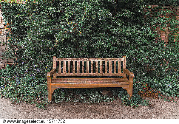 Empty wooden bench