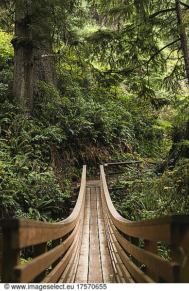 Empty Wooden Bridge on Oregon Nature Trail