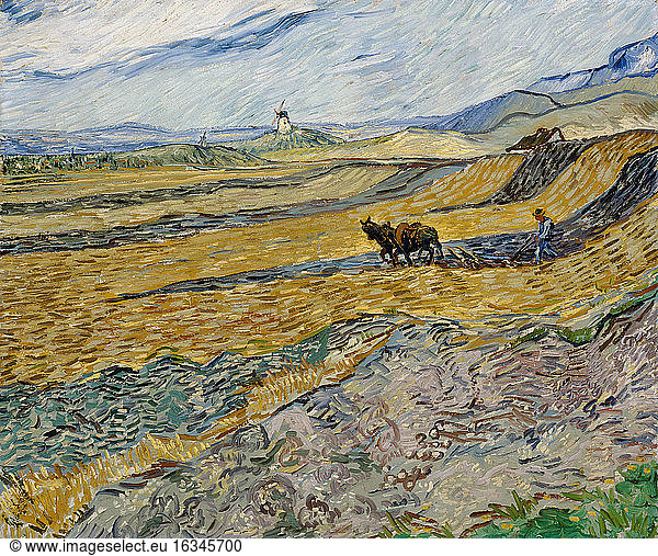 Enclosed Field with Ploughman