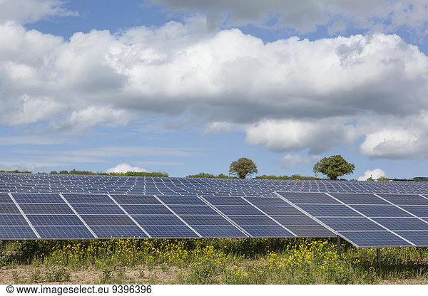 England  Europe  Hampshire  Solar Panel Farm