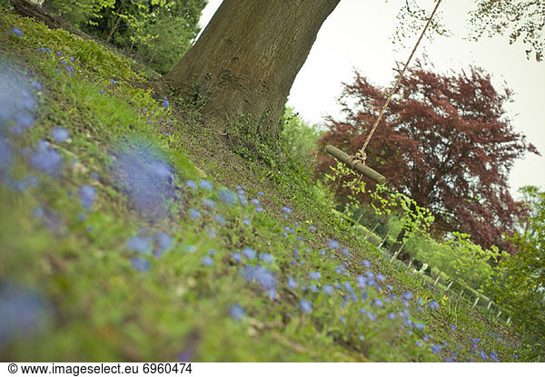 England Surrey