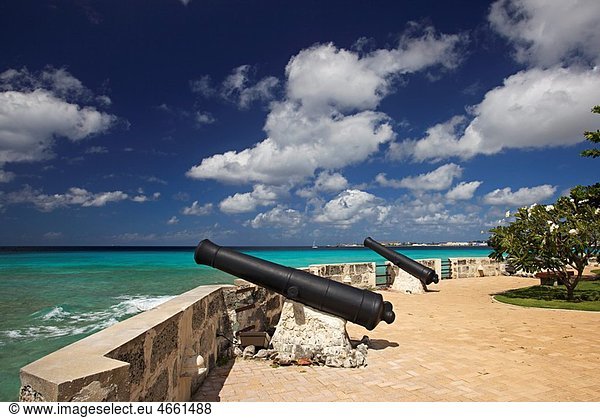 English iron cannons from 17th century at NeedhamÂ¥s Point  Barbados  Â¥St MichaelÂ¥