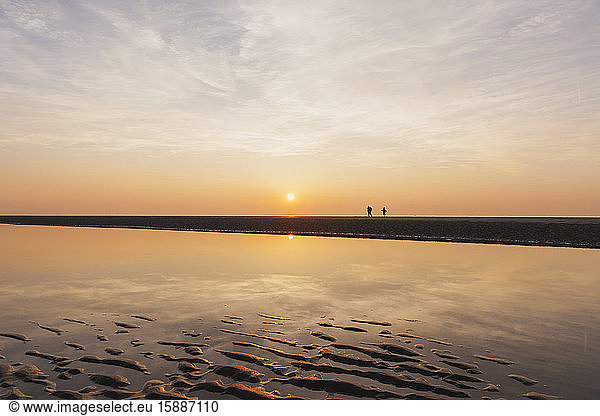 Entfernte Ansicht der Silhouetten von Menschen am Strand gegen den Himmel bei Sonnenuntergang  Nordseeküste  Flandern  Belgien