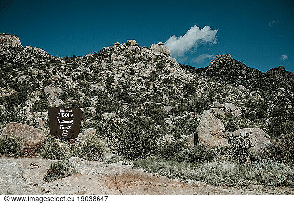 Entrance sign and landscape for Cibola National Forest