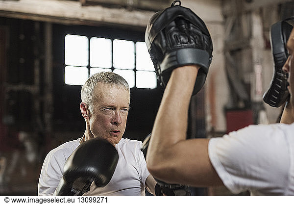 Entschlossener älterer männlicher Boxer  der mit einem Freund im Fitnessstudio trainiert