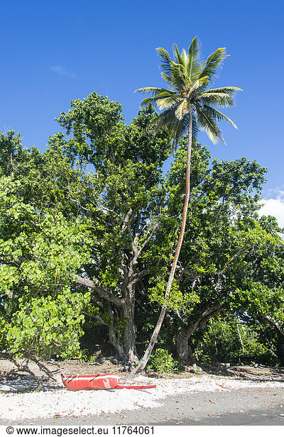 Epi-Insel  Shepherd-Inseln  Vanuatu  Pazifik