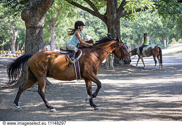 Equestrian girl riding horse on ranch