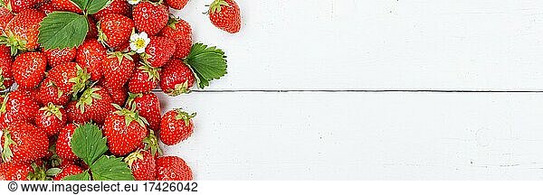 Erdbeeren Beeren Früchte Erdbeere Beere Frucht mit Textfreiraum Copyspace auf Holzbrett Panorama  Deutschland  Europa