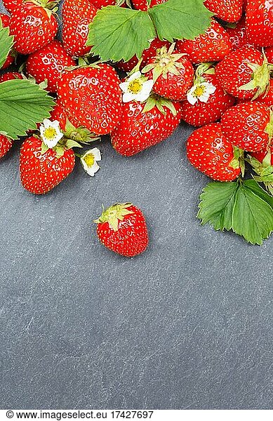 Erdbeeren Beeren Früchte Erdbeere Beere Frucht Textfreiraum Copyspace auf Schiefer
