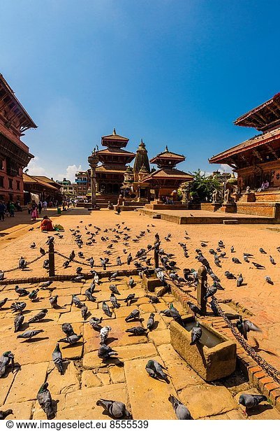 Erde  Quadrat  Quadrate  quadratisch  quadratisches  quadratischer  UNESCO-Welterbe  Erbe  Nepal