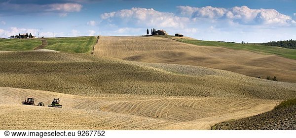 Ernte in der Agrarlandschaft  Siena  Valle D'Orcia  Toskana  Italien