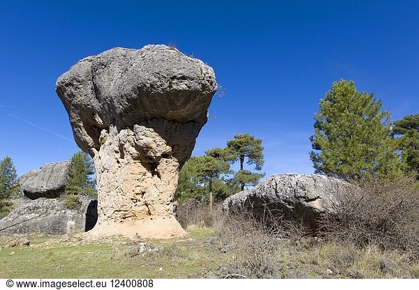 Eroded limestone outcrop in La Ciudad Encantada  The enchanted City  Park in the Serrania de Cuenca  Castilla-la Mancha  Central Spain.