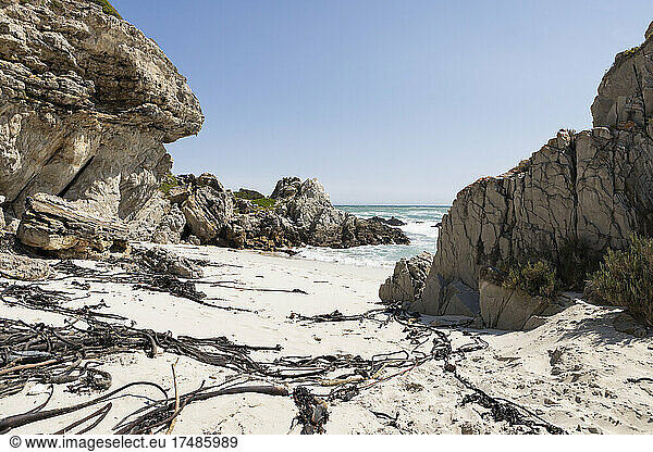 Erodierte Gesteinsschichten und zerklüftete Felsen  die sich über einen kleinen Sandstrand mit Algen auf dem Sand erheben.