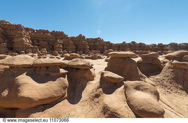 Erodierte Hoodoos  Felsformation aus Entrada-Sandstein  Goblin Valley State Park  San Rafael Reef Wüste  Utah  Südwesten  USA  Nordamerika