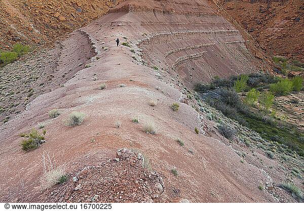 Erodierte Schichten der Chinle-Formation oberhalb des Escalante River  Utah