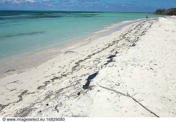 Erosion am Strand  Cayo Levisa  Provinz Pinar del R?o  Kuba. Das Korallenriff draußen ist tot. Erosion am Strand.