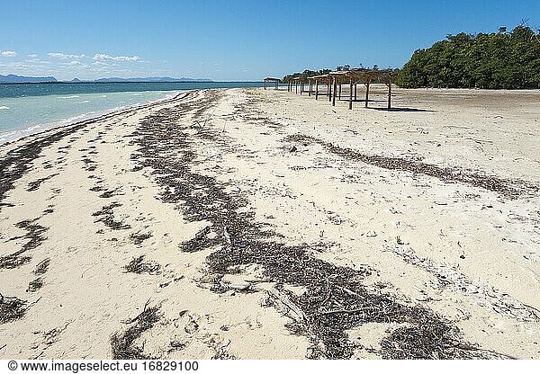 Erosion am Strand  Cayo Levisa  Provinz Pinar del R?o  Kuba. Das Korallenriff draußen ist tot. Erosion am Strand.