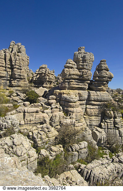Erosion an Jura-Kalkstein  Torcal de Antequera Naturschutzgebiet  Provinz Malaga  Andalusien  Spanien  Europa