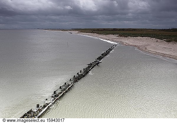 Erosion auf einer Nordseeinsel  Ostrand von Minsener Oog  Nationalpark Niedersächsisches Wattenmeer  Niedersachsen  Deutschland  Europa