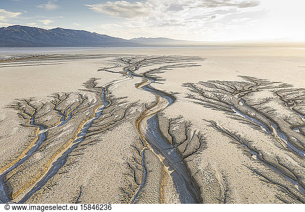 Erosion Cuts Fratcal Tree Looking Patterns into a Dry Lake Bed i