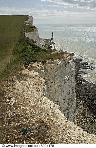 Erosion der weißen Kreideklippen bei Beachy Head  East Sussex