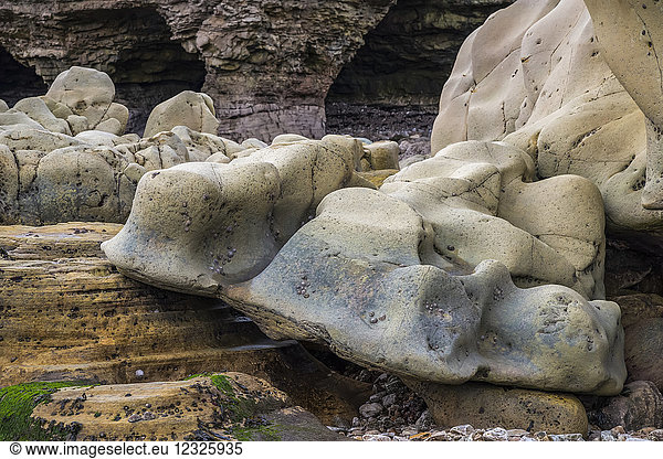 Erosion von Felsen an der Küste bei Whitburn  Nordostengland; Whitburn  Tyne and Wear  England