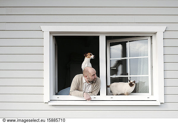 Erwachsener Mann mit Katze und Hund  der sich aus dem Fenster seines Hauses lehnt
