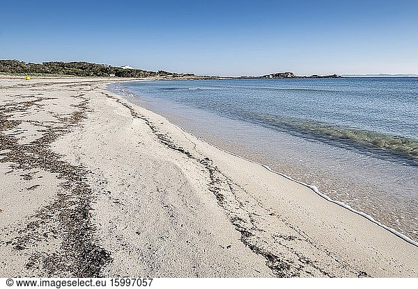 Es Caragol beach  Santanyi municipality  Mallorca  Balearic Islands  Spain.