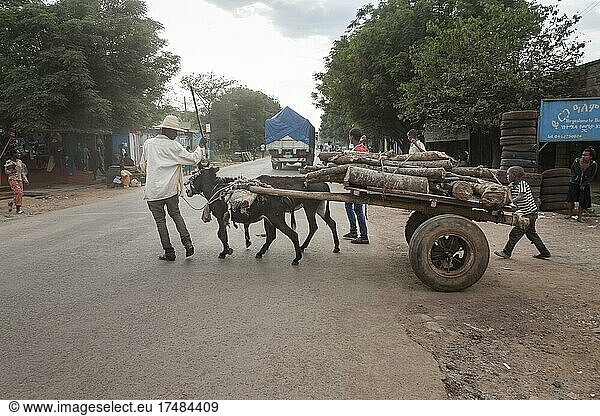Eselkarren  Straßenszene  Yirgalem  Äthiopien  Afrika
