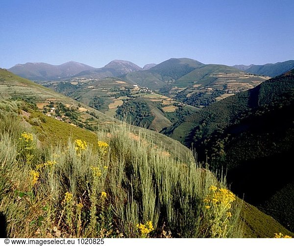 Espacio Natural De La Sierra de Ancares  Provinz Lugo Galizien. Spanien