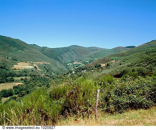 Espacio Natural De La Sierra de Ancares  Provinz Lugo Galizien. Spanien