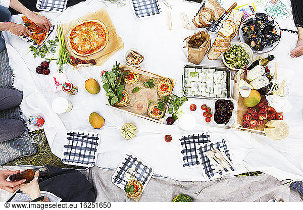 Essen und Trinken auf der Picknickdecke