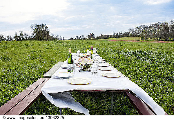 Essutensilien auf einem Picknicktisch auf einem Grasfeld