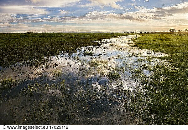 Estancia San Juan de Poriahu  Ibera Wetlands  ein Sumpfgebiet in der Provinz Corrientes  Argentinien