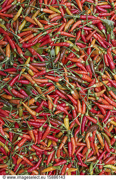 Ethiopia  Heap of red chili peppers