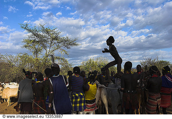 Ethiopia Lower Omo Valley Turmi Hama Jumping Of The Bulls Initiation