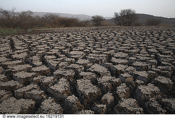 Ethiopia  Rift Valley  Desiccation cracks