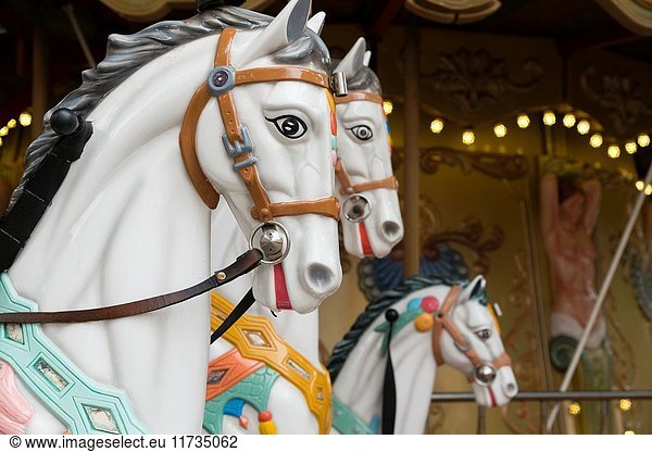 EU  France  Toulouse. Painted horses in a street carousel.