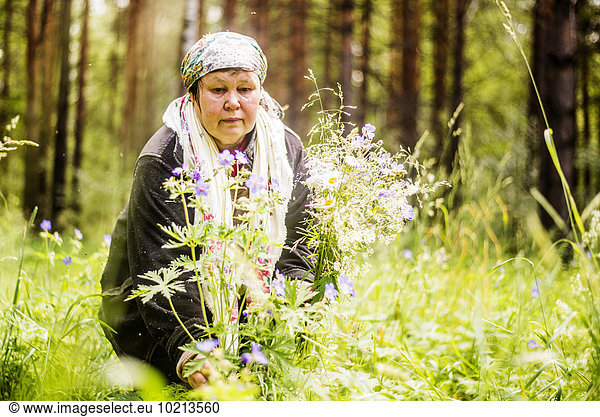 Europäer Frau geselliges Beisammensein Wald Wildblume