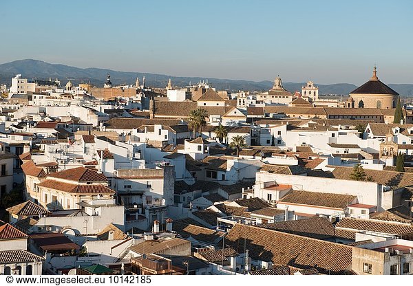 Europa, Kathedrale, Ansicht, Andalusien, Glocke, La Mezquita, Spanien