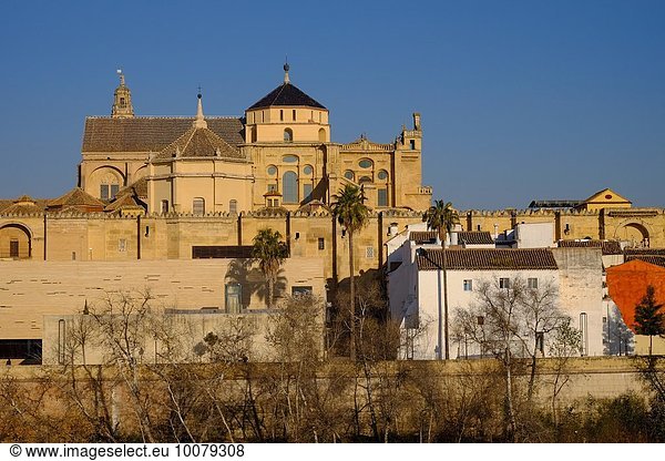 Europa Andalusien La Mezquita Spanien