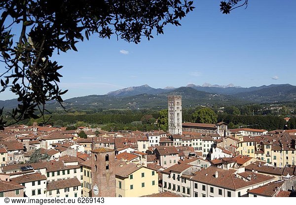 Europa  Ansicht  Italien  Lucca  Toskana