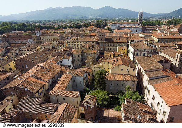 Europa  Ansicht  Italien  Lucca  Toskana